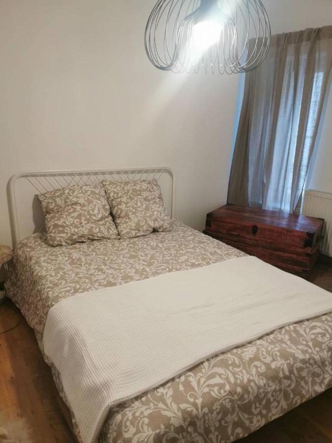 Santocha : Appartement En Plein Coeur De Ville ! 卡尔卡松 外观 照片