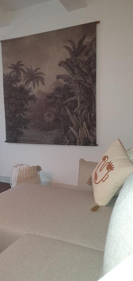 Santocha : Appartement En Plein Coeur De Ville ! 卡尔卡松 外观 照片